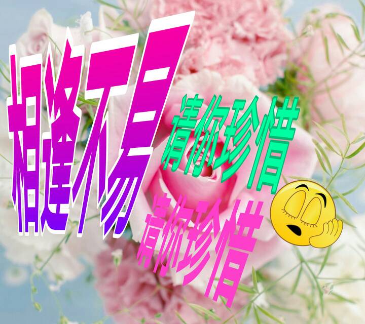 相逢不易请你珍惜这几个字的图片