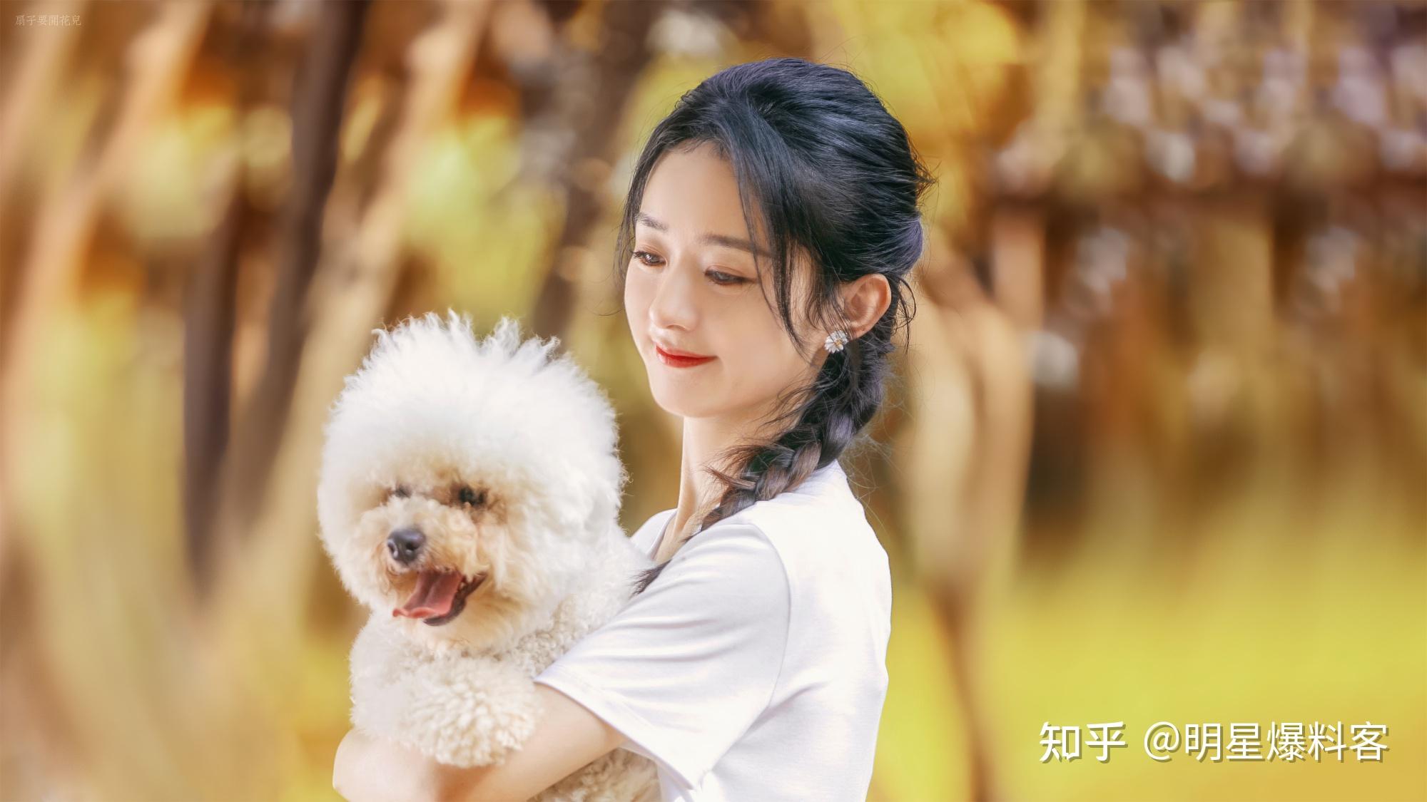 22娱乐资讯:王俊凯,肖战,赵丽颖,杨洋,成毅,刘宇宁,张凌赫,罗云熙,具