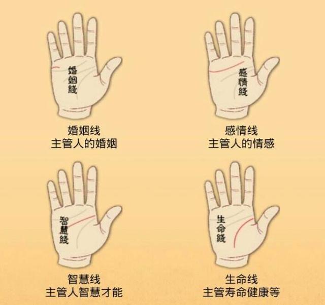 俗语是生活中最为常见的传统文化,三百六十行几乎都有俗语的身影.