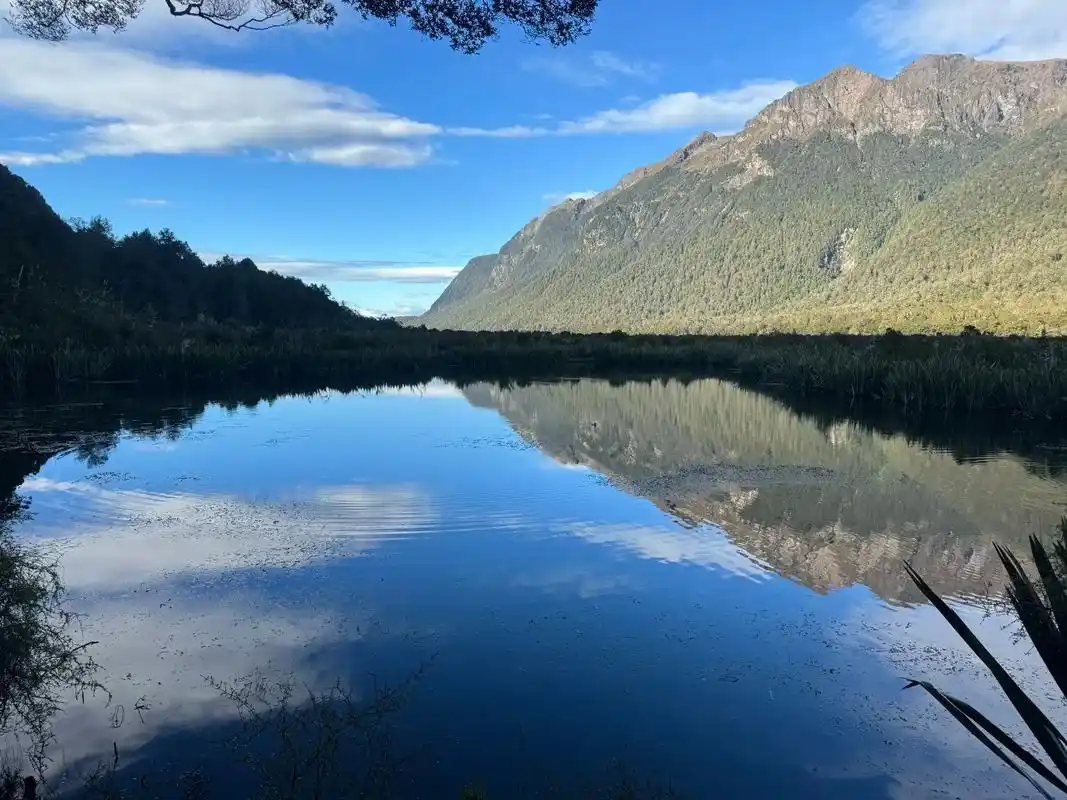 新西兰南岛蒂阿瑙至米尔福德峡湾沿途风景