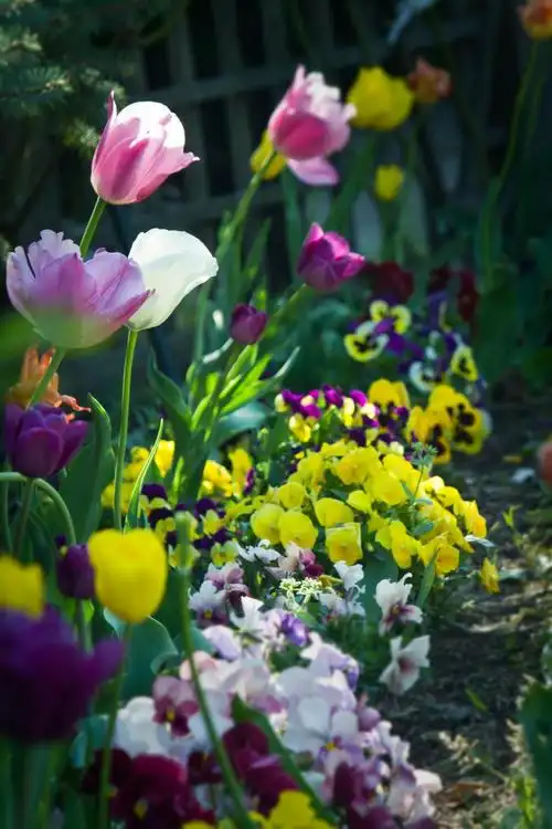 鲜花盛开在花床上