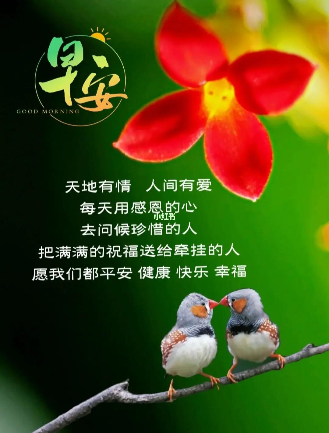 天地有情人间有爱早安