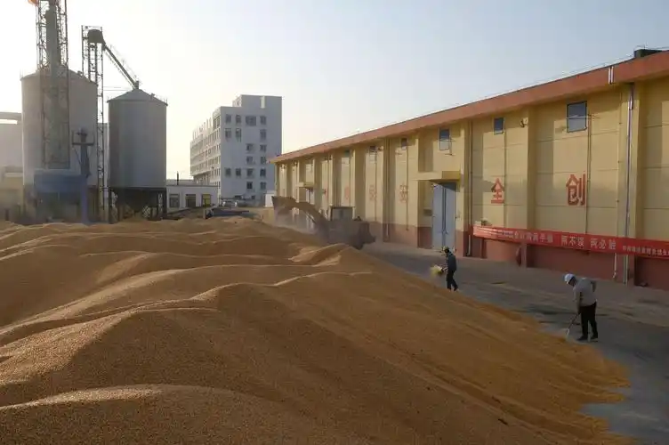 粮食储备库疫情防控和粮食收购两不误