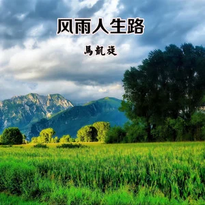 风雨人生路