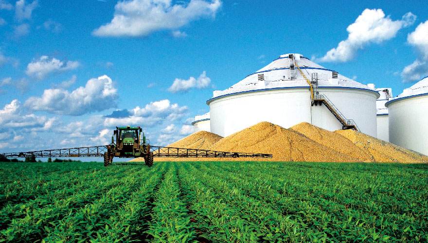 中储粮:守护好大国粮仓 向信息化智能化转型