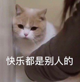 都是别人的我一点都不快乐憨憨委屈gif动图_动态图_表情包下载_soogif