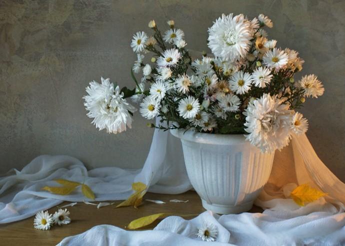 【花卉主题静物摄影作品】 摄影师:elena kolesneva