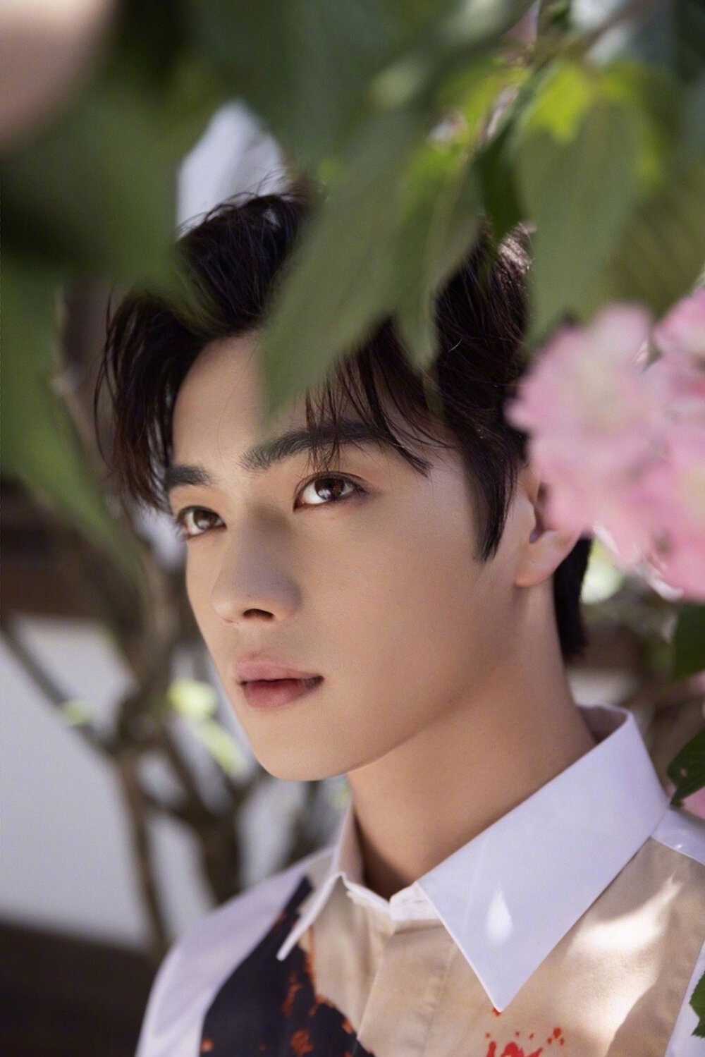 能不能发几张许凯的照片当壁纸的那种最近特别迷他