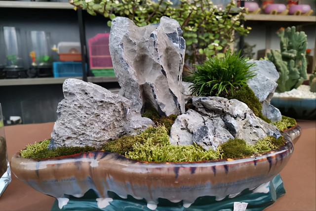 家庭版制作"小型山石盆景教程",新手也能做出来