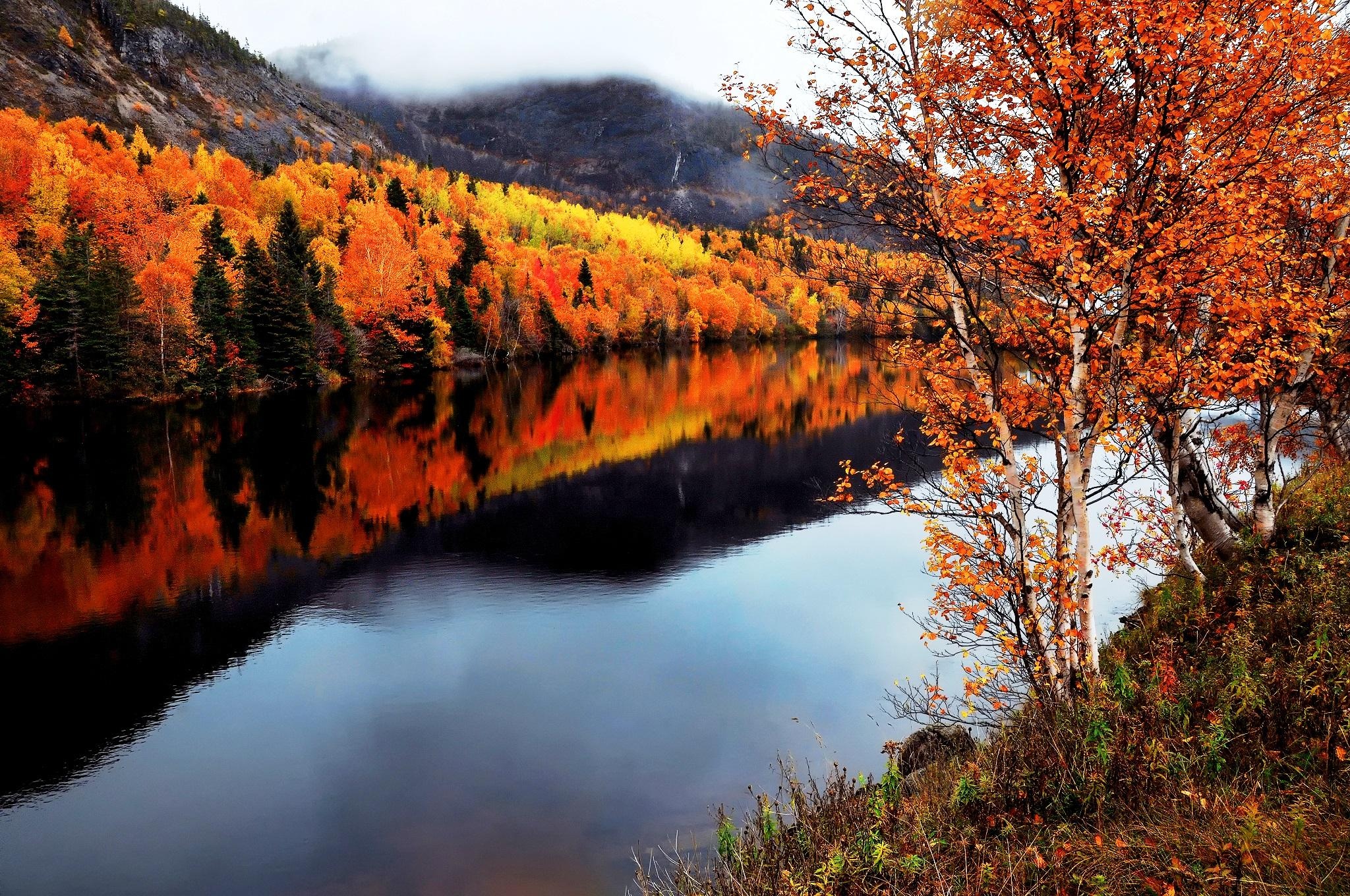 美丽的秋天壁纸,高清图片,壁纸,自然风景-桌面城市