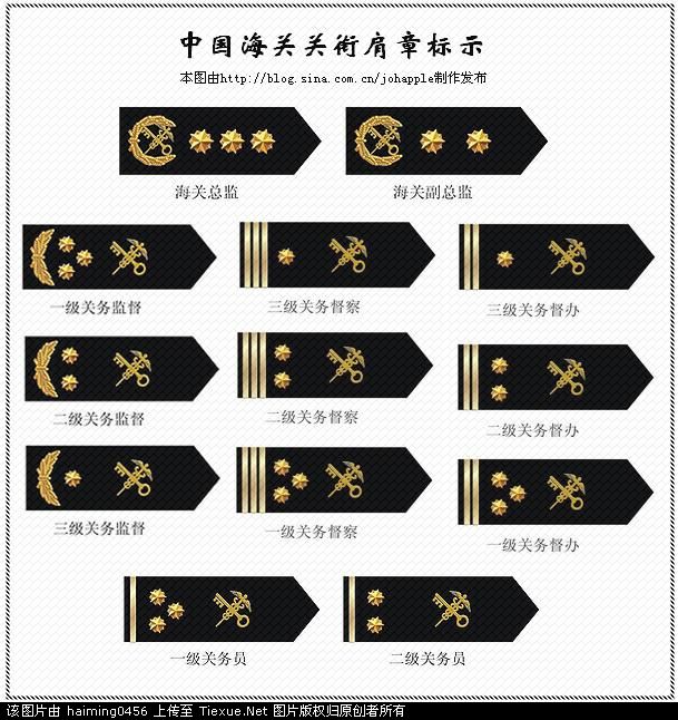 谁知道这是什么肩章?