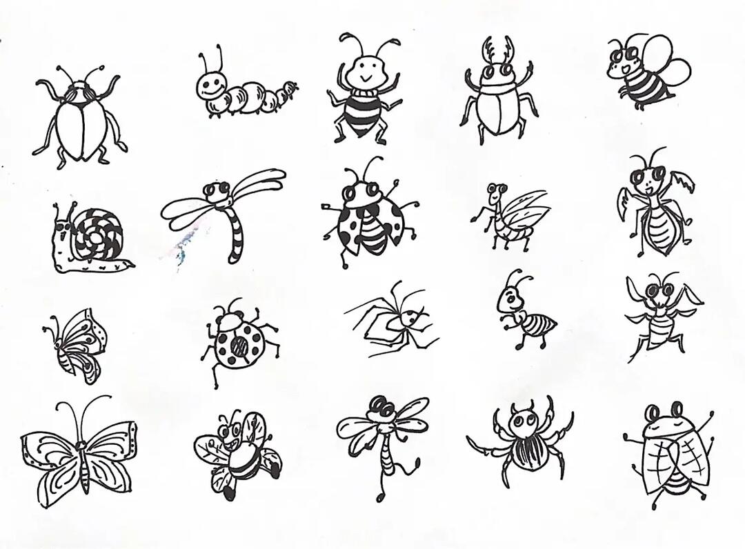 昆虫简笔画030305