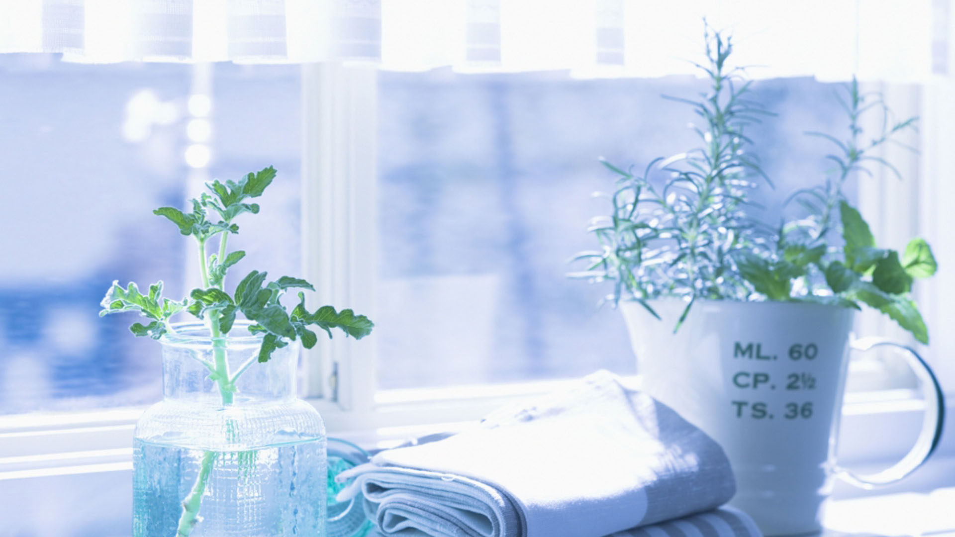 小清新家居静物高清桌面壁纸