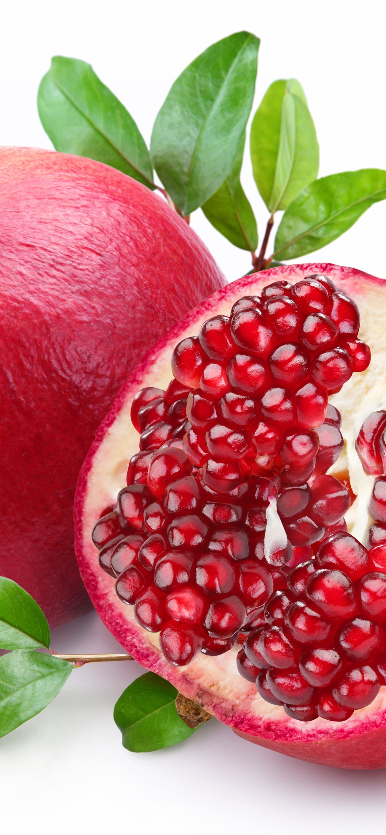 石榴,白色背景 1242x2688 iphone 11 pro/xs max 壁纸,图片,背景,照片