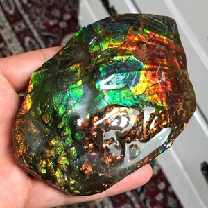 加拿大斑彩石摆件斑彩螺化石原矿天然原石彩宝家居摆饰直邮包邮