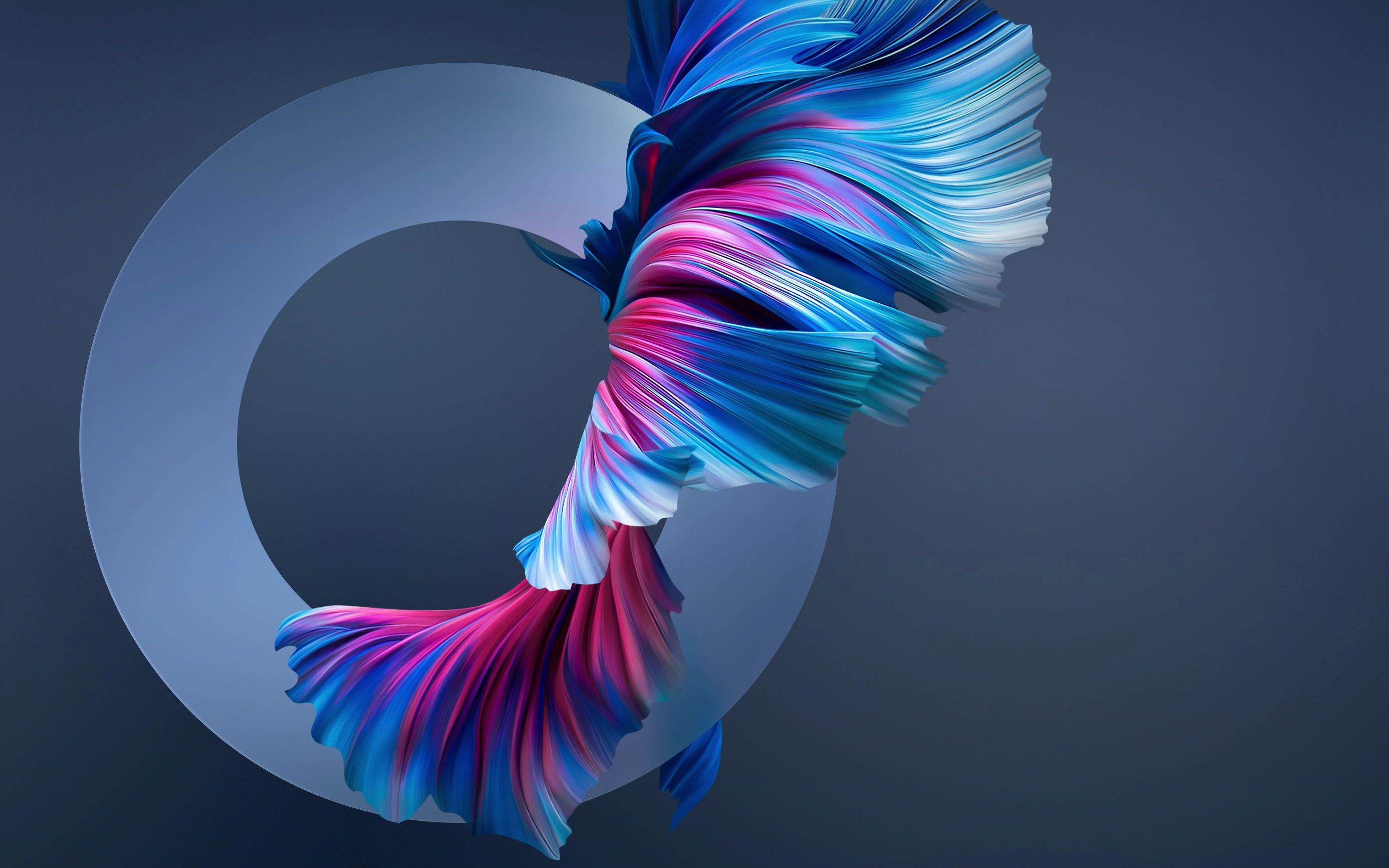 华为mate40 系列官方壁纸展示