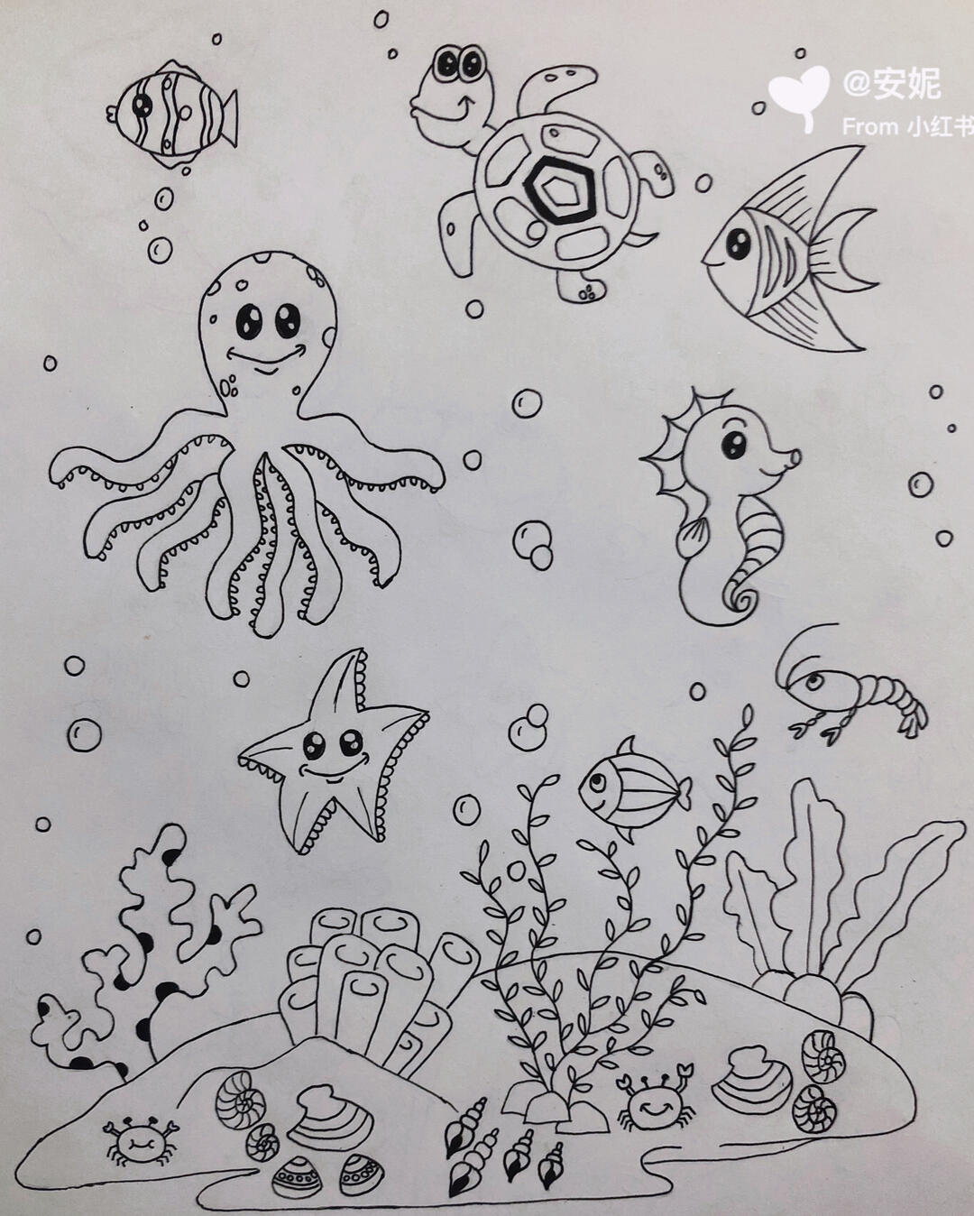 海洋动物简笔画一