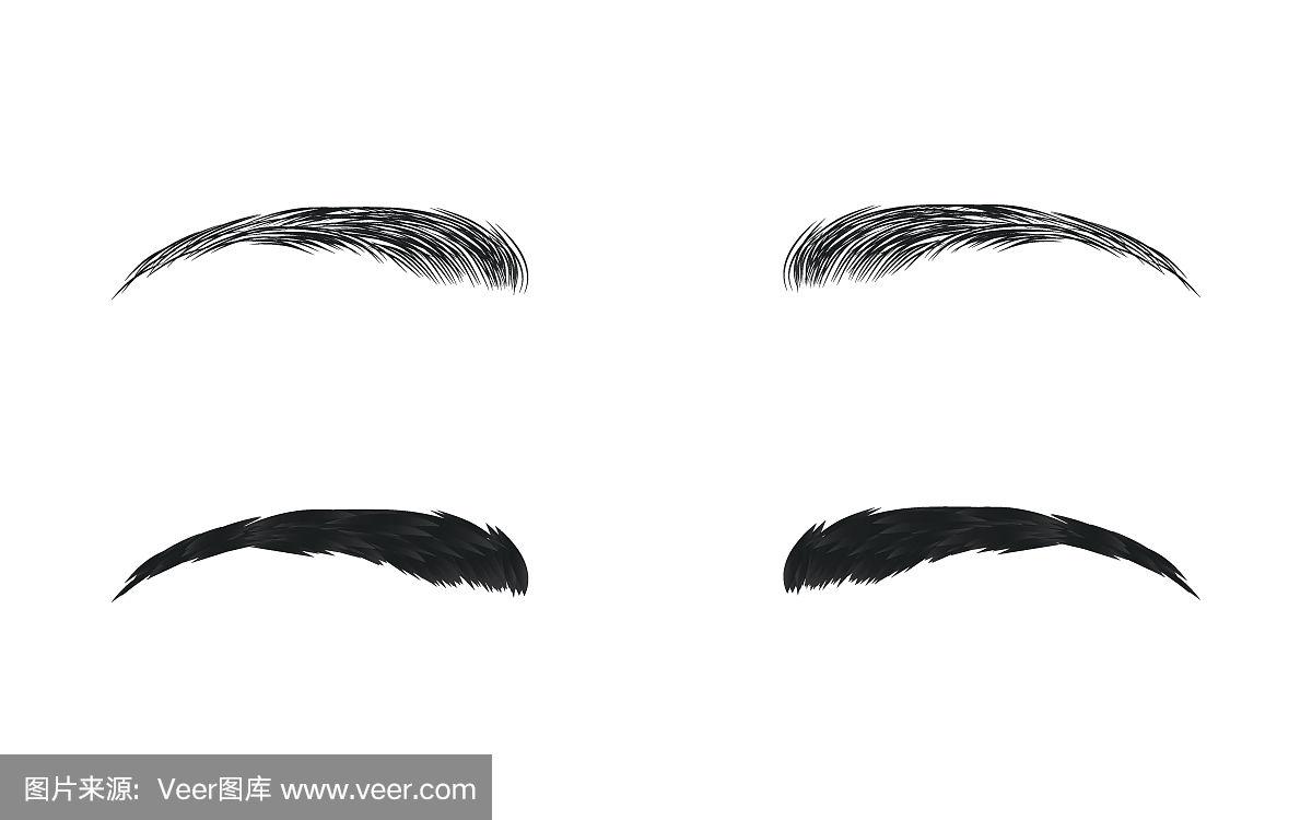 向量眉毛,现实和卡通风格