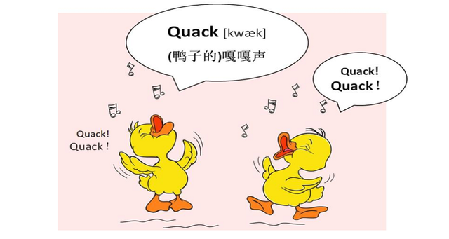 鸭子的英语怎么读