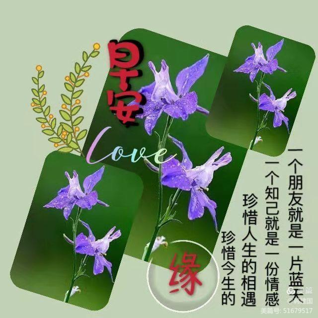 问候你一一一问候语集锦(八)