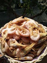 广东汕尾本港特产小虾干海虾干小白虾送礼当零食小孩