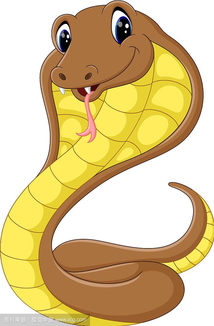 可爱的眼镜蛇卡通