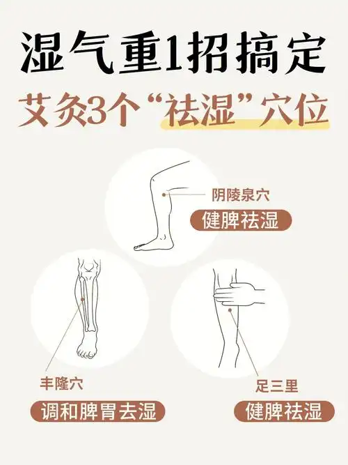 湿气重1招轻松搞定75艾灸3个祛湿穴位