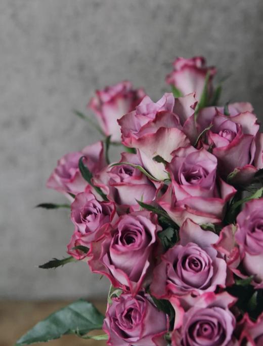 冷美人玫瑰9支送1支份买2份减20元冷艳的气质型玫瑰