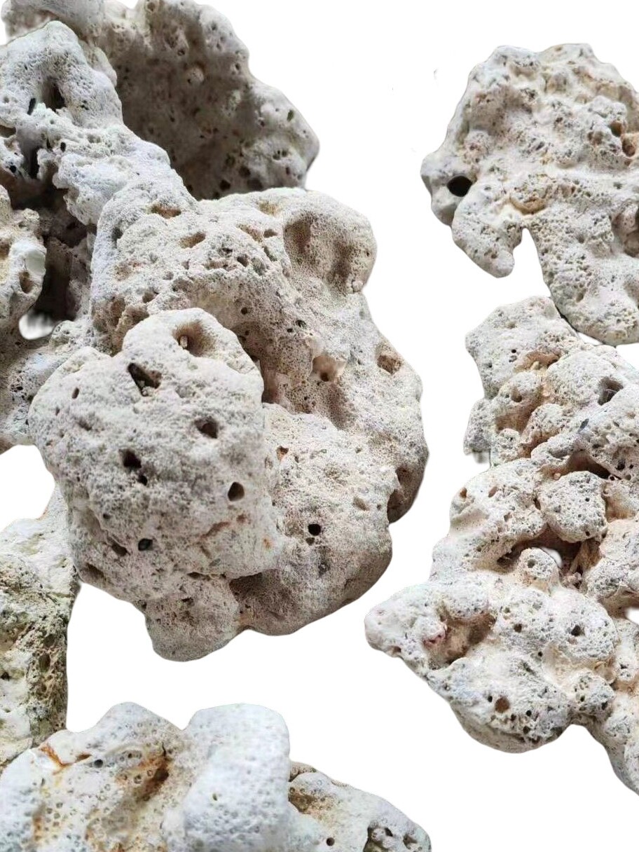 天然珊瑚石死石活石造景海水鱼缸三湖慈鲷造景材料免爆藻快速开缸