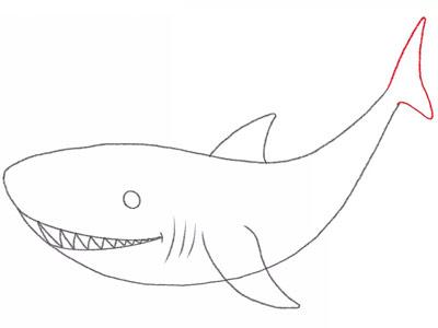 3-6岁的儿童小朋友最喜欢海洋生物简笔画了,今天给大家分享一个画鲨鱼