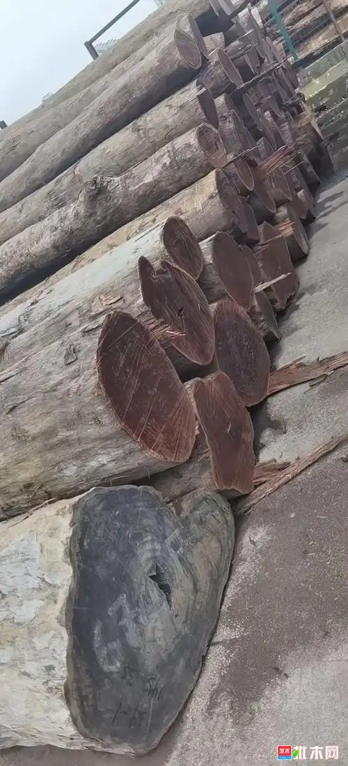 所罗门大叶紫檀 - 批木网