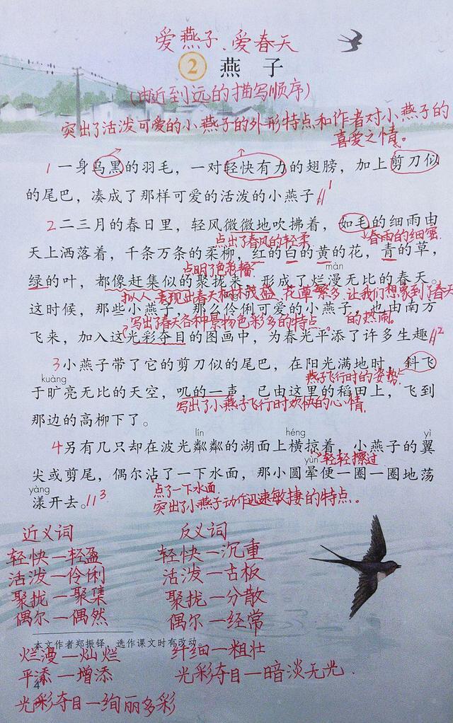 三年级语文下册:2.《燕子》课堂笔记(详细) 写法宝典