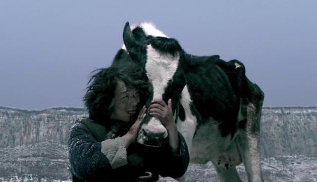 那些被遗忘的电影之《斗牛》