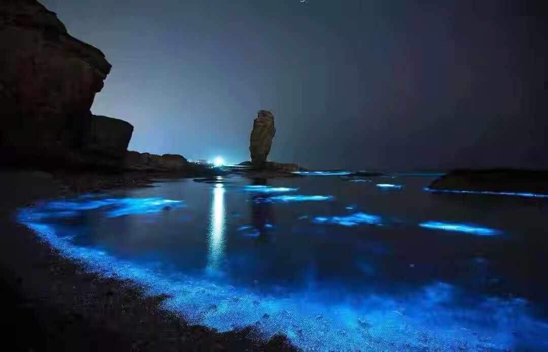 福建平潭蓝眼泪,这也太漂亮了吧!