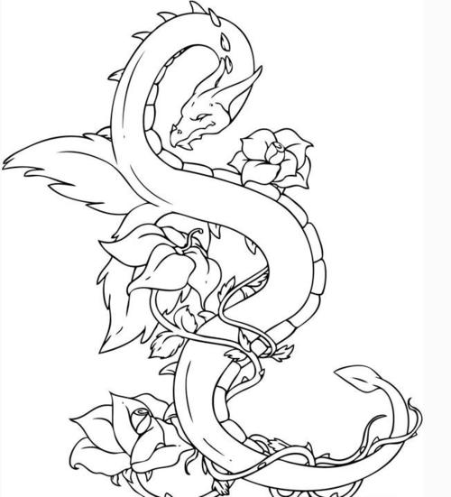 龙的头像画法简笔画