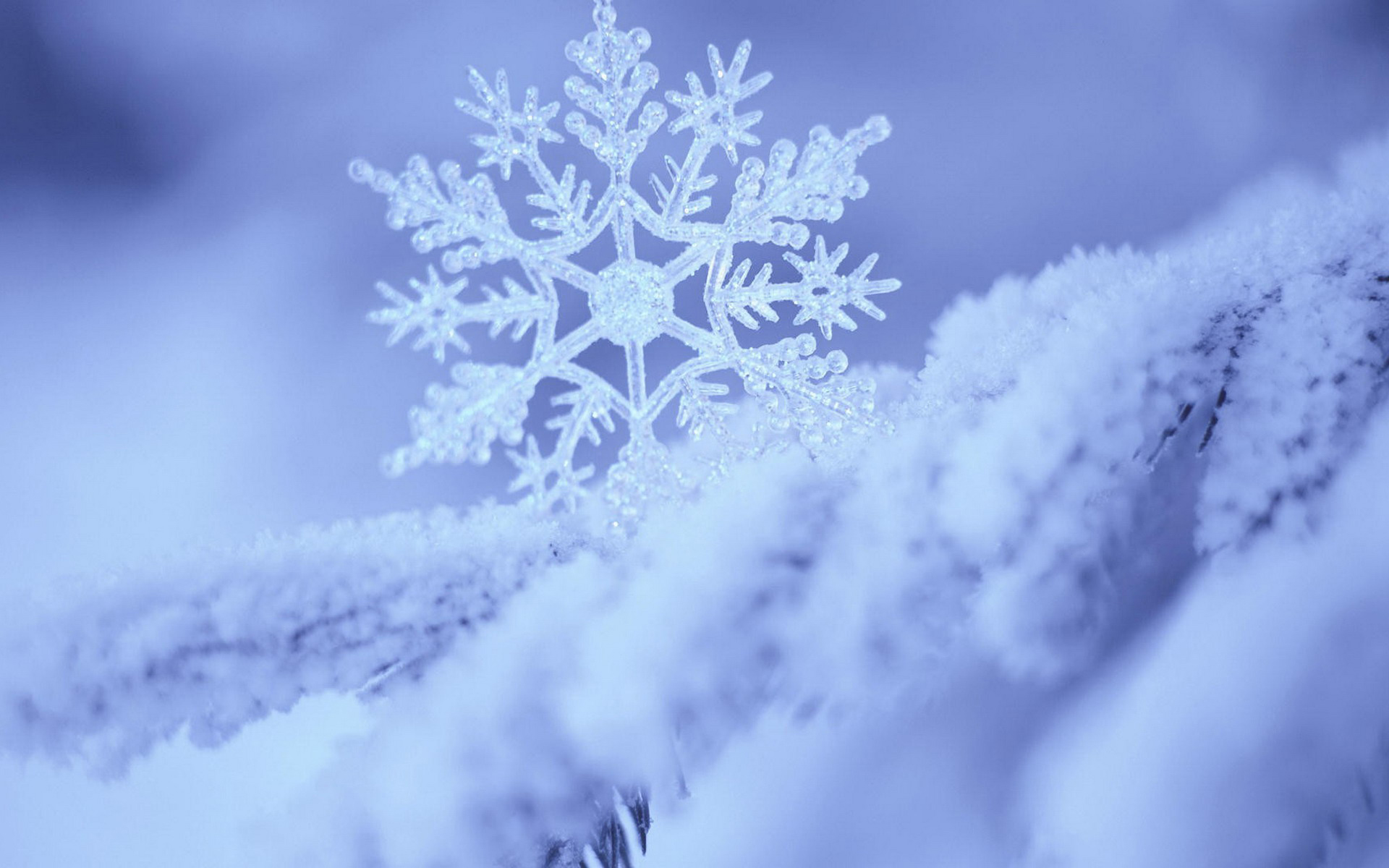 美丽梦幻洁白晶莹雪花高清图片电脑桌面壁纸