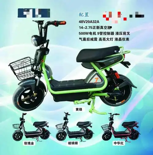 三枪电动车两轮大全!金钊车行为您服务!15562320018