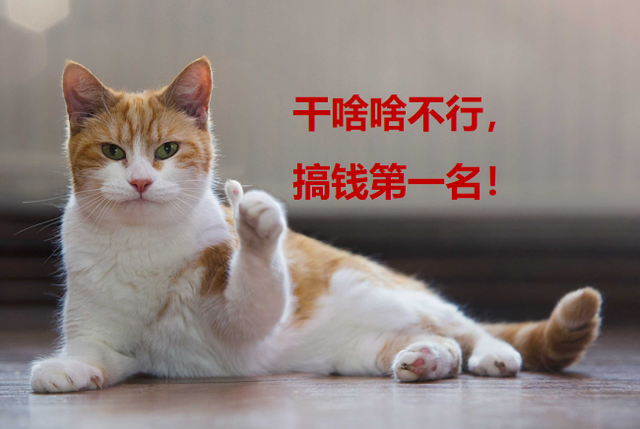 谈什么恋爱?深圳女孩逃不过"搞钱真香定律"