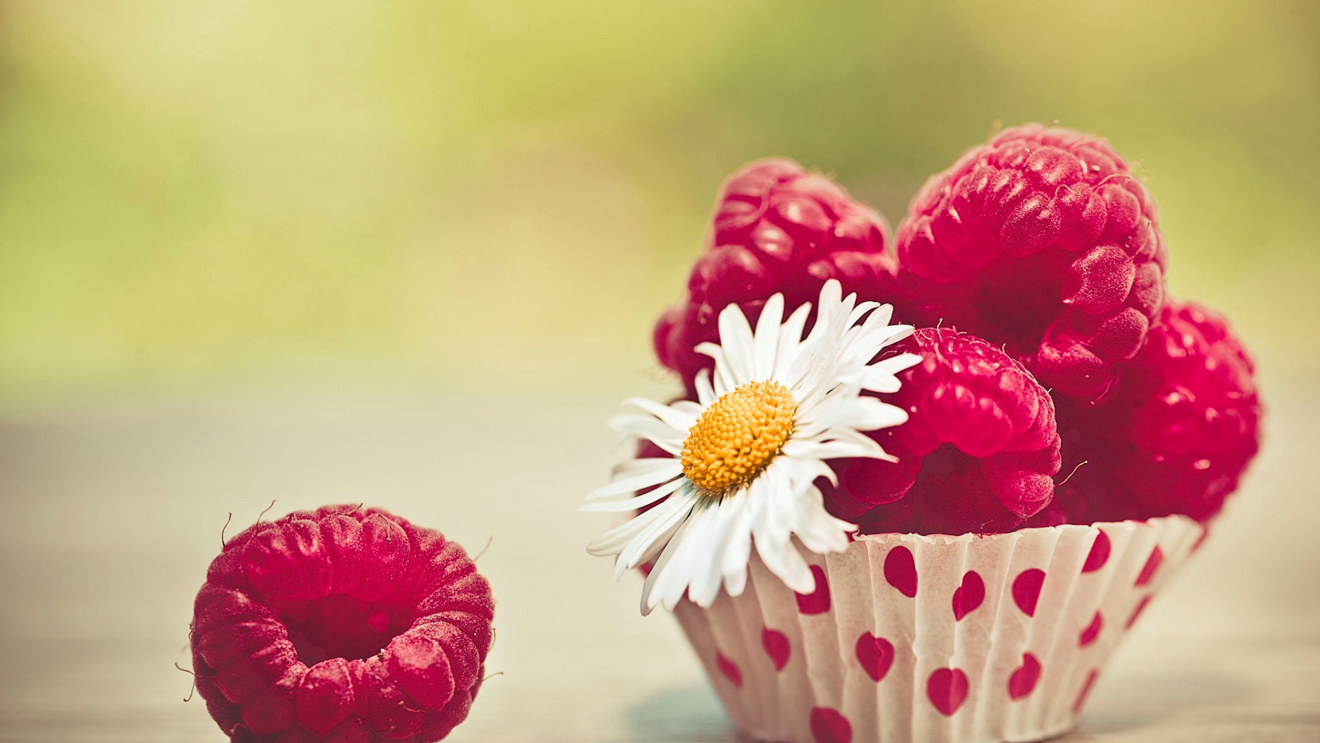 树莓甘菊唯美小清新桌面壁纸高清大图预览1920x1080_风格壁纸下载_美