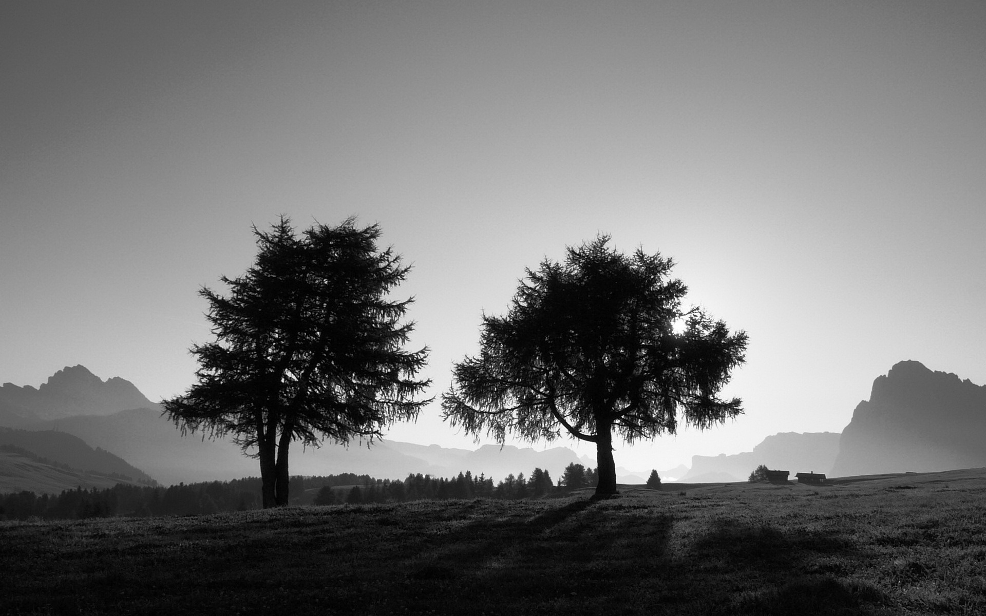 唯美黑白风景高清桌面壁纸