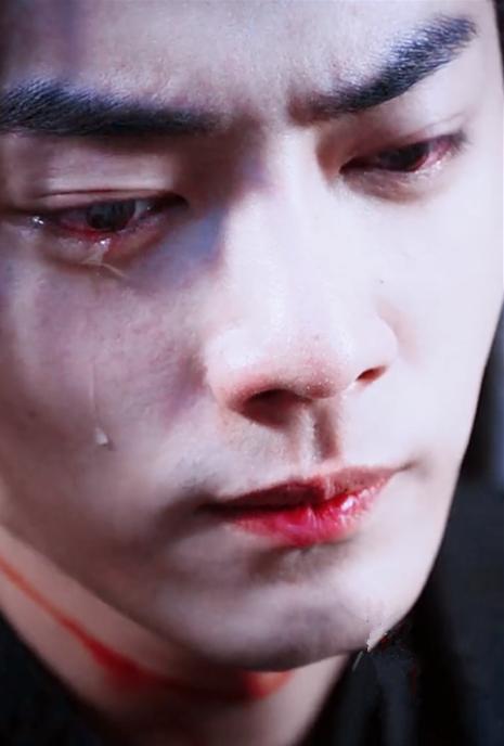 哭起来好看的男子:司凤心疼,蓝湛绝美,看到他:我的心跟着碎了