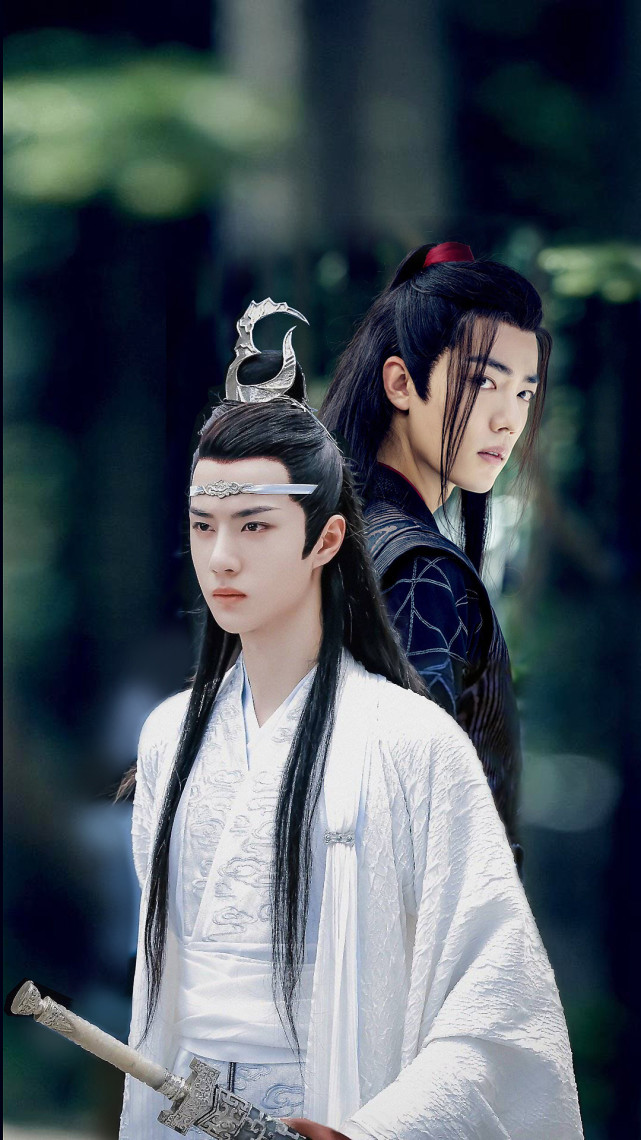 直到去年冬天我阳了的那几天,才第一次在网上看了《陈情令》.