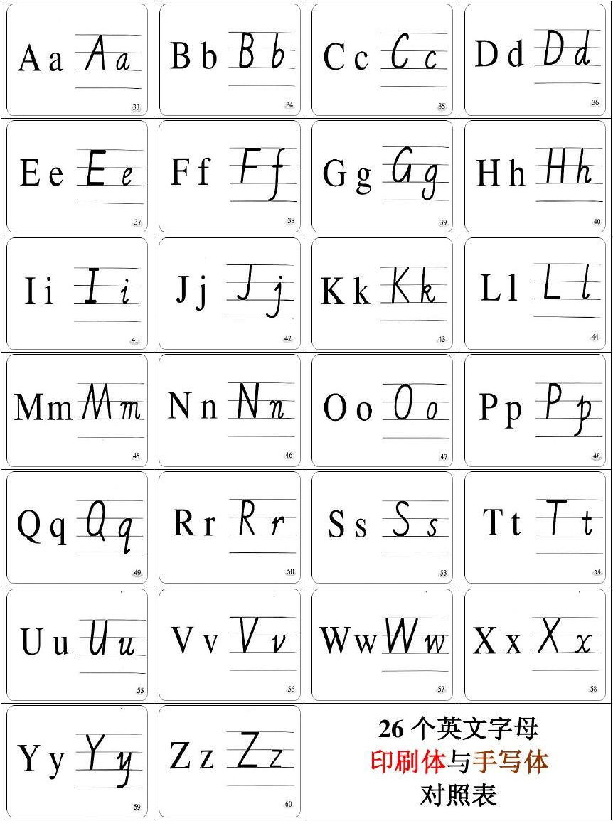 展开全部 罗马手写体.