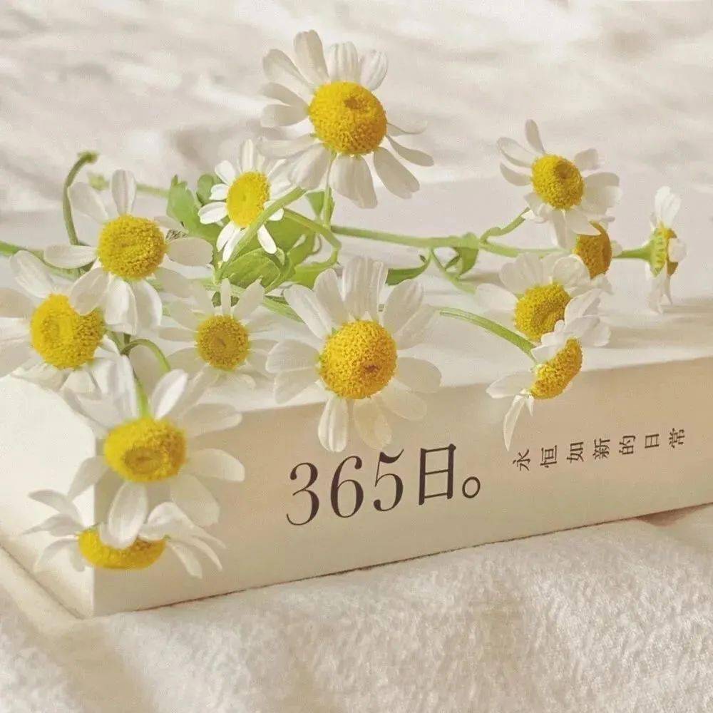 文艺清新朋友圈封面图