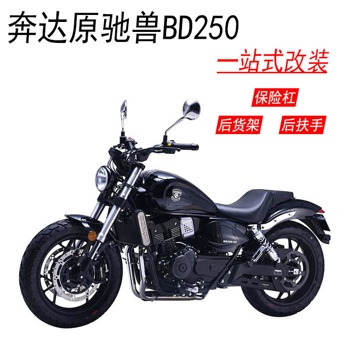 摩托车奔达原驰兽bd250-2c国四电喷版防摔架搁脚架后货架扶手保险