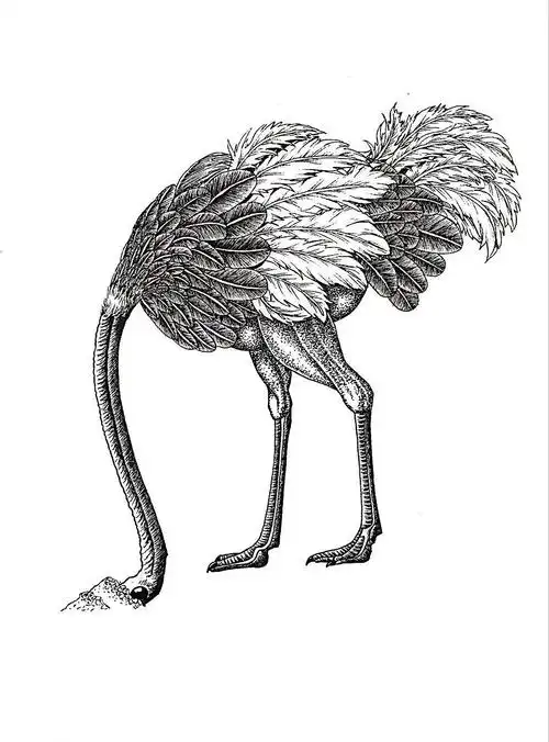 黑白动物绘(二)