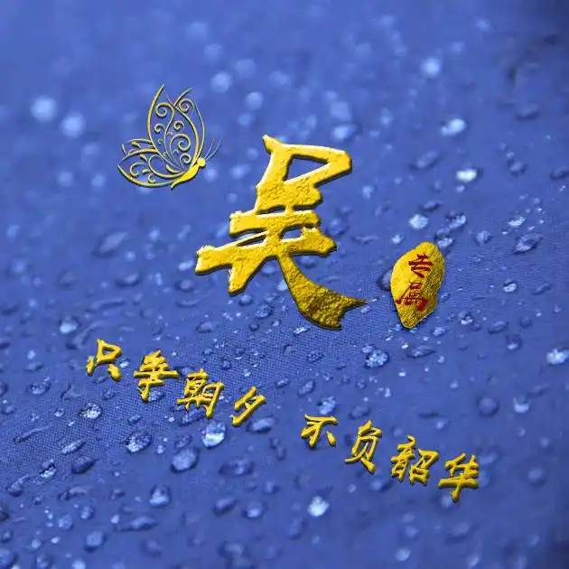 编号b02932张百家姓微信头像励志专属只争朝夕不负韶华