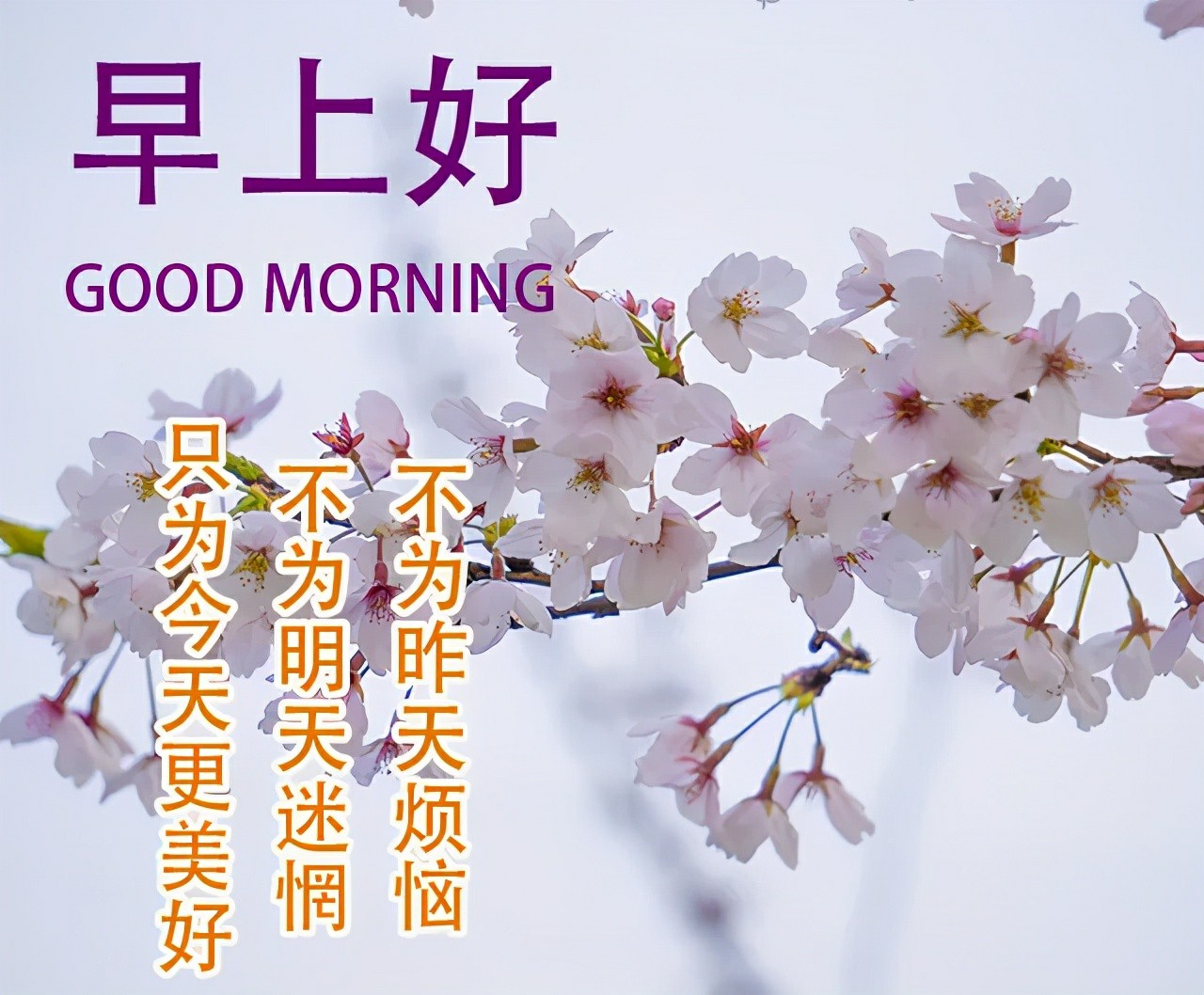 2021年早上好问候语温馨图片动态表情,清晨祝福语大全带字图片-搜狐