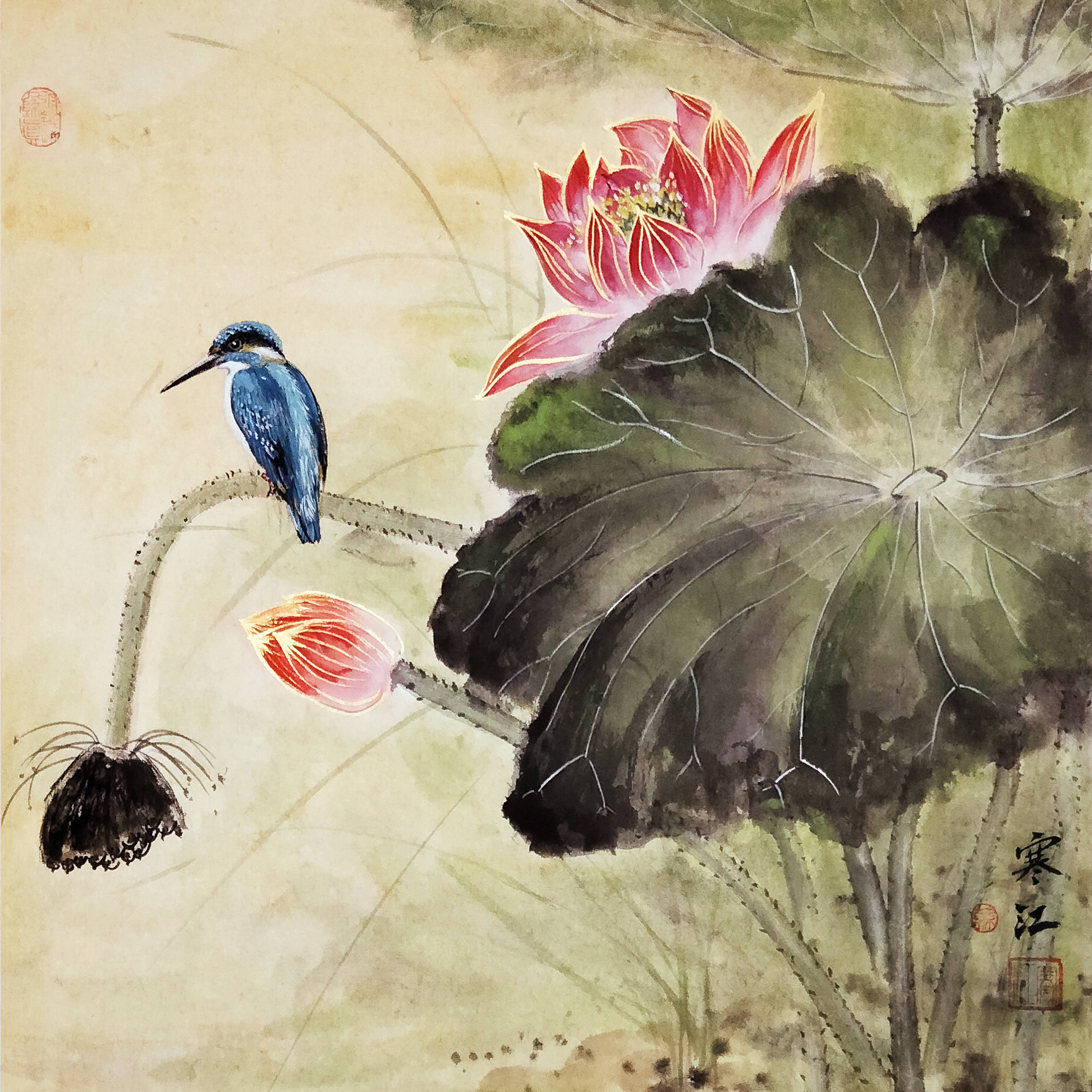 界画寒江---工笔画《荷花小鸟.04》(2023年第四版)_花鸟_莫共花_魏王