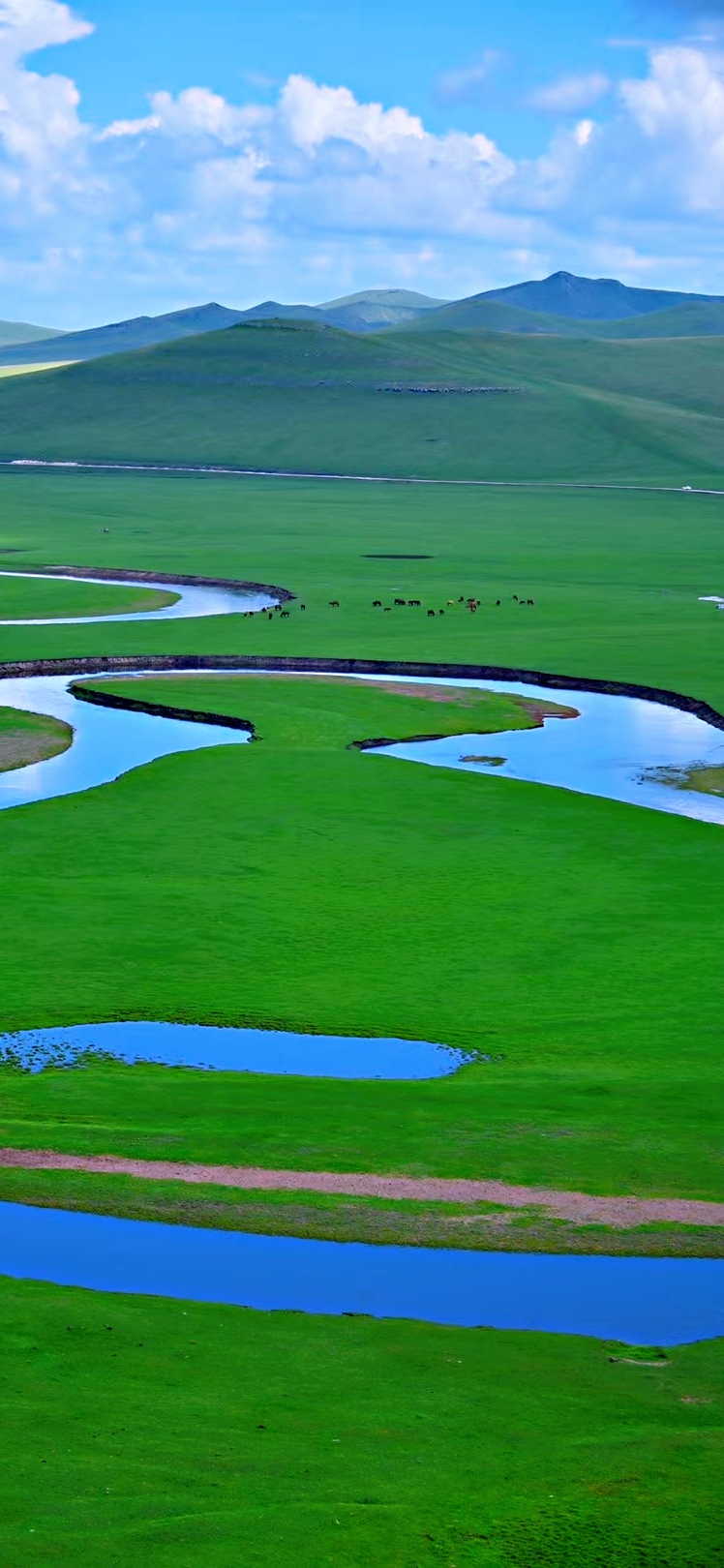 呼伦贝尔大草原